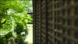 Yu Yu Hakusho (Hindi) - Season 01 Episode 03